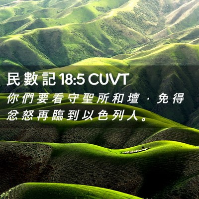 Picture 02 - 民 數 記 18:5 CUVT - 你 們 要 看 守 聖 所 和 壇 ， 免 得 - Bible Verse Picture