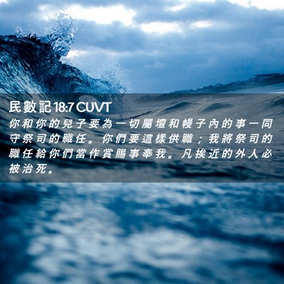 Picture 02 - 民 數 記 18:7 CUVT - 你 和 你 的 兒 子 要 為 一 切 屬 壇 - Bible Verse Picture