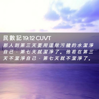 Picture 02 - 民 數 記 19:12 CUVT - 那 人 到 第 三 天 要 用 這 除 污 穢 - Bible Verse Picture