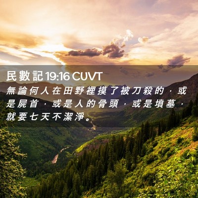 Picture 02 - 民 數 記 19:16 CUVT - 無 論 何 人 在 田 野 裡 摸 了 被 刀 - Bible Verse Picture