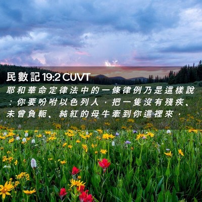 Picture 02 - 民 數 記 19:2 CUVT - 耶 和 華 命 定 律 法 中 的 一 條 律 - Bible Verse Picture