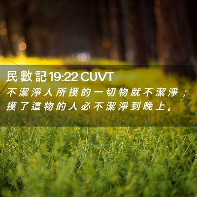 Picture 02 - 民 數 記 19:22 CUVT - 不 潔 淨 人 所 摸 的 一 切 物 就 不 - Bible Verse Picture