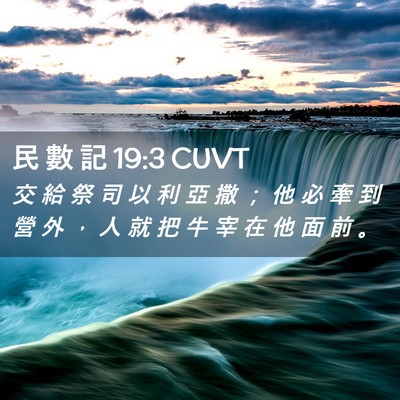Picture 02 - 民 數 記 19:3 CUVT - 交 給 祭 司 以 利 亞 撒 ； 他 必 牽 - Bible Verse Picture