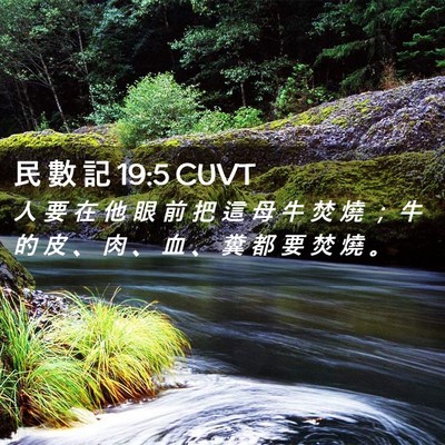 Picture 02 - 民 數 記 19:5 CUVT - 人 要 在 他 眼 前 把 這 母 牛 焚 燒 - Bible Verse Picture