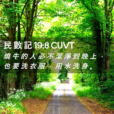 Picture 02 - 民 數 記 19:8 CUVT - 燒 牛 的 人 必 不 潔 淨 到 晚 上 ， - Bible Verse Picture