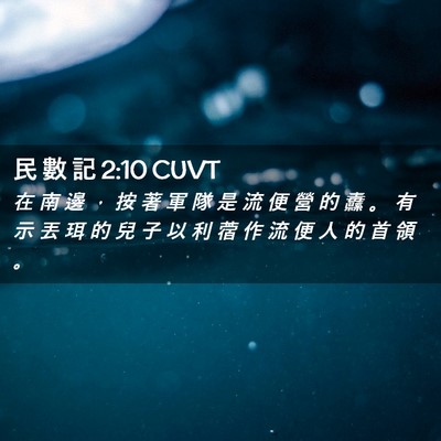Picture 02 - 民 數 記 2:10 CUVT - 在 南 邊 ， 按 著 軍 隊 是 流 便 營 - Bible Verse Picture