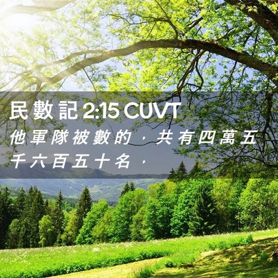 Picture 02 - 民 數 記 2:15 CUVT - 他 軍 隊 被 數 的 ， 共 有 四 萬 五 - Bible Verse Picture