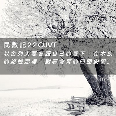 Picture 02 - 民 數 記 2:2 CUVT - 以 色 列 人 要 各 歸 自 己 的 纛 下 - Bible Verse Picture