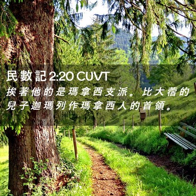 Picture 02 - 民 數 記 2:20 CUVT - 挨 著 他 的 是 瑪 拿 西 支 派 。 比 - Bible Verse Picture