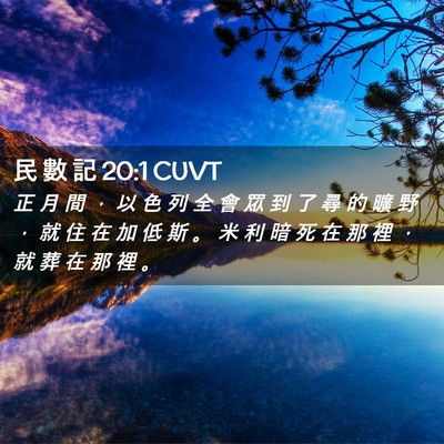 Picture 02 - 民 數 記 20:1 CUVT - 正 月 間 ， 以 色 列 全 會 眾 到 了 - Bible Verse Picture