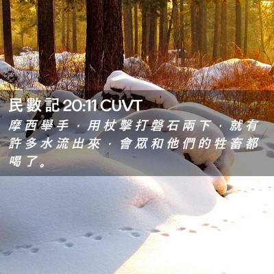 Picture 02 - 民 數 記 20:11 CUVT - 摩 西 舉 手 ， 用 杖 擊 打 磐 石 兩 - Bible Verse Picture