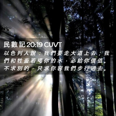 Picture 02 - 民 數 記 20:19 CUVT - 以 色 列 人 說 ： 我 們 要 走 大 道 - Bible Verse Picture