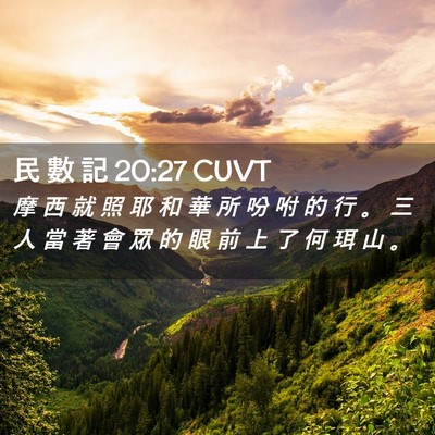 Picture 02 - 民 數 記 20:27 CUVT - 摩 西 就 照 耶 和 華 所 吩 咐 的 行 - Bible Verse Picture