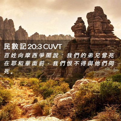 Picture 02 - 民 數 記 20:3 CUVT - 百 姓 向 摩 西 爭 鬧 說 ： 我 們 的 - Bible Verse Picture