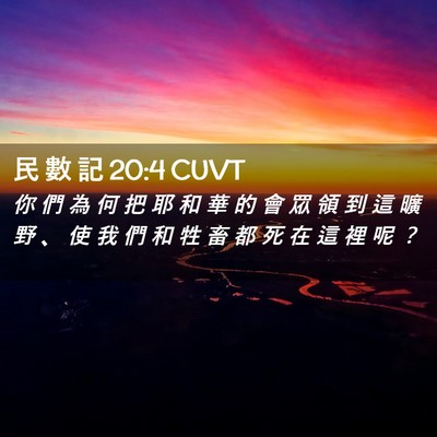 Picture 02 - 民 數 記 20:4 CUVT - 你 們 為 何 把 耶 和 華 的 會 眾 領 - Bible Verse Picture