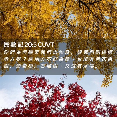 Picture 02 - 民 數 記 20:5 CUVT - 你 們 為 何 逼 著 我 們 出 埃 及 、 - Bible Verse Picture