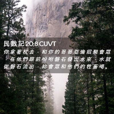 Picture 02 - 民 數 記 20:8 CUVT - 你 拿 著 杖 去 ， 和 你 的 哥 哥 亞 - Bible Verse Picture