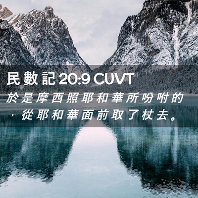 Picture 02 - 民 數 記 20:9 CUVT - 於 是 摩 西 照 耶 和 華 所 吩 咐 的 - Bible Verse Picture