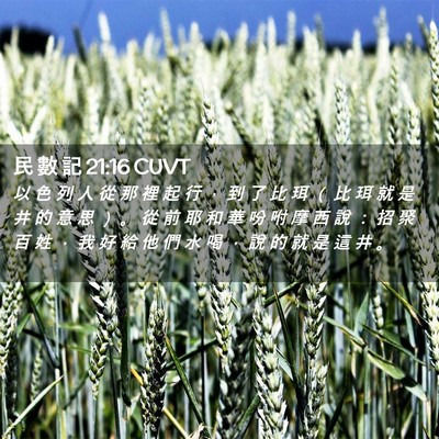 Picture 02 - 民 數 記 21:16 CUVT - 以 色 列 人 從 那 裡 起 行 ， 到 了 - Bible Verse Picture