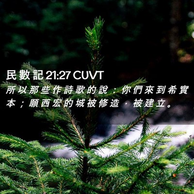 Picture 02 - 民 數 記 21:27 CUVT - 所 以 那 些 作 詩 歌 的 說 ： 你 們 - Bible Verse Picture