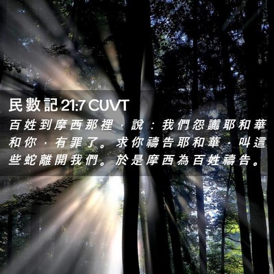 Picture 02 - 民 數 記 21:7 CUVT - 百 姓 到 摩 西 那 裡 ， 說 ： 我 們 - Bible Verse Picture