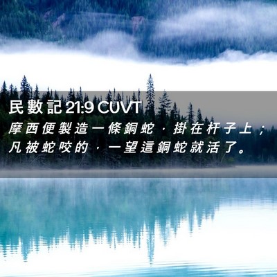Picture 02 - 民 數 記 21:9 CUVT - 摩 西 便 製 造 一 條 銅 蛇 ， 掛 在 - Bible Verse Picture