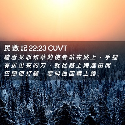 Picture 02 - 民 數 記 22:23 CUVT - 驢 看 見 耶 和 華 的 使 者 站 在 路 - Bible Verse Picture