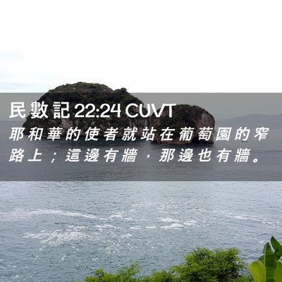 Picture 02 - 民 數 記 22:24 CUVT - 耶 和 華 的 使 者 就 站 在 葡 萄 園 - Bible Verse Picture