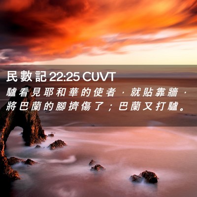 Picture 02 - 民 數 記 22:25 CUVT - 驢 看 見 耶 和 華 的 使 者 ， 就 貼 - Bible Verse Picture