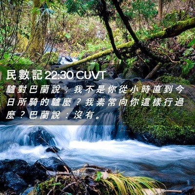 Picture 02 - 民 數 記 22:30 CUVT - 驢 對 巴 蘭 說 ： 我 不 是 你 從 小 - Bible Verse Picture