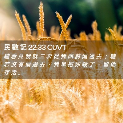 Picture 02 - 民 數 記 22:33 CUVT - 驢 看 見 我 就 三 次 從 我 面 前 偏 - Bible Verse Picture