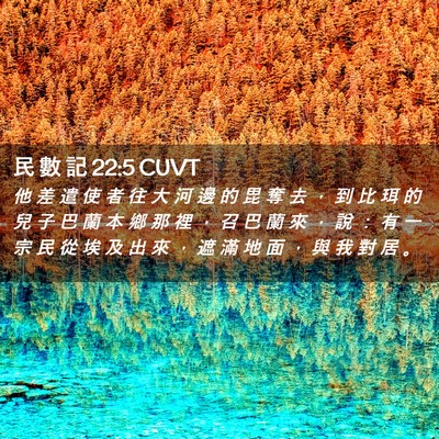 Picture 02 - 民 數 記 22:5 CUVT - 他 差 遣 使 者 往 大 河 邊 的 毘 奪 - Bible Verse Picture