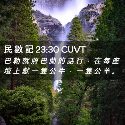 Picture 02 - 民 數 記 23:30 CUVT - 巴 勒 就 照 巴 蘭 的 話 行 ， 在 每 - Bible Verse Picture