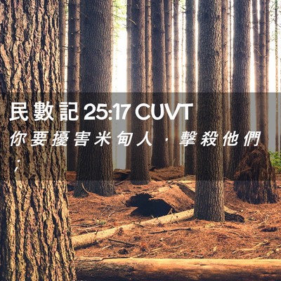 Picture 02 - 民 數 記 25:17 CUVT - 你 要 擾 害 米 甸 人 ， 擊 殺 他 們 - Bible Verse Picture
