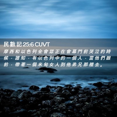 Picture 02 - 民 數 記 25:6 CUVT - 摩 西 和 以 色 列 全 會 眾 正 在 會 - Bible Verse Picture