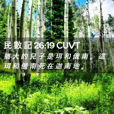 Picture 02 - 民 數 記 26:19 CUVT - 猶 大 的 兒 子 是 珥 和 俄 南 。 這 - Bible Verse Picture