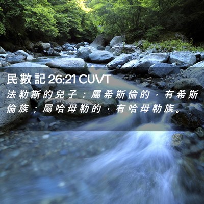 Picture 02 - 民 數 記 26:21 CUVT - 法 勒 斯 的 兒 子 ： 屬 希 斯 倫 的 - Bible Verse Picture