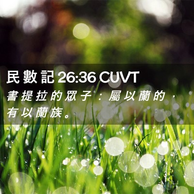 Picture 02 - 民 數 記 26:36 CUVT - 書 提 拉 的 眾 子 ： 屬 以 蘭 的 ， - Bible Verse Picture