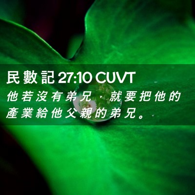 Picture 02 - 民 數 記 27:10 CUVT - 他 若 沒 有 弟 兄 ， 就 要 把 他 的 - Bible Verse Picture