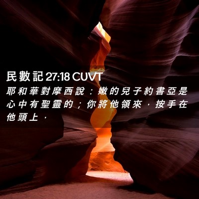 Picture 02 - 民 數 記 27:18 CUVT - 耶 和 華 對 摩 西 說 ： 嫩 的 兒 子 - Bible Verse Picture
