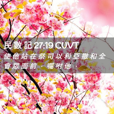 Picture 02 - 民 數 記 27:19 CUVT - 使 他 站 在 祭 司 以 利 亞 撒 和 全 - Bible Verse Picture