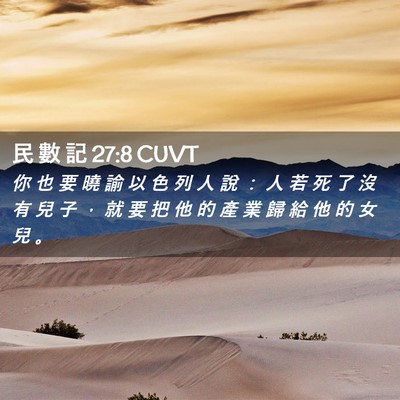 Picture 02 - 民 數 記 27:8 CUVT - 你 也 要 曉 諭 以 色 列 人 說 ： 人 - Bible Verse Picture