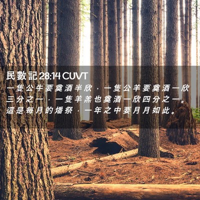 Picture 02 - 民 數 記 28:14 CUVT - 一 隻 公 牛 要 奠 酒 半 欣 ， 一 隻 - Bible Verse Picture