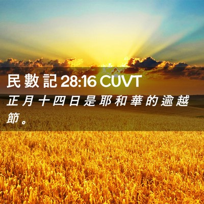 Picture 02 - 民 數 記 28:16 CUVT - 正 月 十 四 日 是 耶 和 華 的 逾 越 - Bible Verse Picture