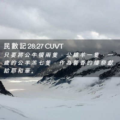 Picture 02 - 民 數 記 28:27 CUVT - 只 要 將 公 牛 犢 兩 隻 ， 公 綿 羊 - Bible Verse Picture