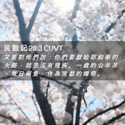 Picture 02 - 民 數 記 28:3 CUVT - 又 要 對 他 們 說 ： 你 們 要 獻 給 - Bible Verse Picture
