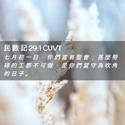 Picture 02 - 民 數 記 29:1 CUVT - 七 月 初 一 日 ， 你 們 當 有 聖 會 - Bible Verse Picture