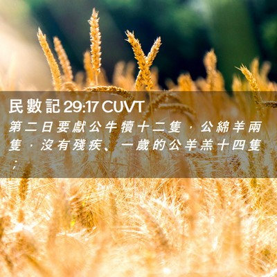 Picture 02 - 民 數 記 29:17 CUVT - 第 二 日 要 獻 公 牛 犢 十 二 隻 ， - Bible Verse Picture