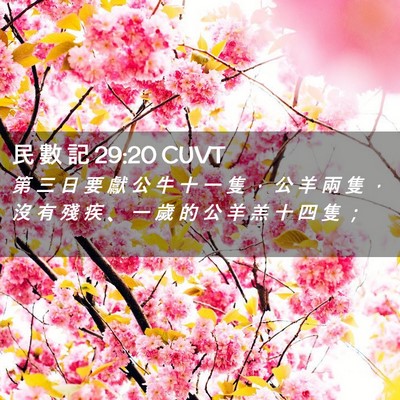 Picture 02 - 民 數 記 29:20 CUVT - 第 三 日 要 獻 公 牛 十 一 隻 ， 公 - Bible Verse Picture