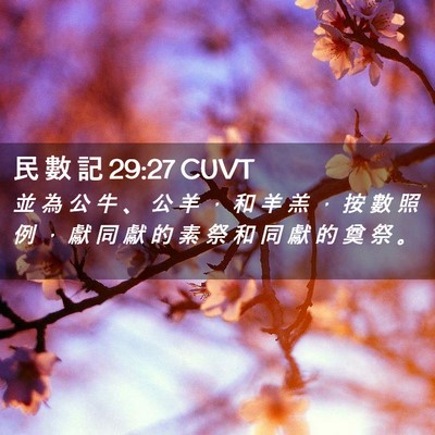 Picture 02 - 民 數 記 29:27 CUVT - 並 為 公 牛 、 公 羊 ， 和 羊 羔 ， - Bible Verse Picture
